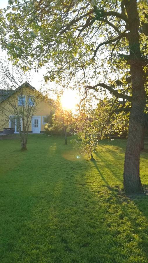 Ferienwohnung Luba Lipa Drachhausen エクステリア 写真